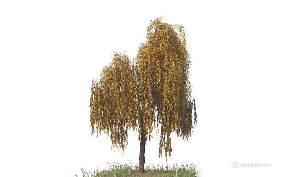 Weeping Willow Tree With Yellow Drooping Branches Trunk And Green Grass 3d model 
