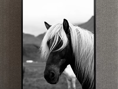 Black and White Horse Head Closeup Animal Painting with Mountains and Grassland Background 3d model