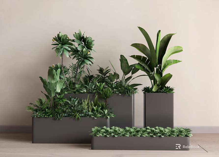 Modern Gray Rectangular Flower Planters With Various Green Plants And Lush Foliage 3d model