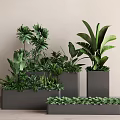 Modern Gray Rectangular Flower Planters With Various Green Plants And Lush Foliage 3d model