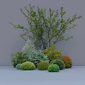 Diverse Garden Shrubs With Various Colors And Shapes In Landscape Arrangement