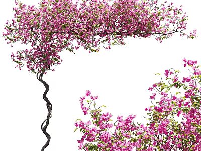 Lush Pink Flowering Vines Growing With Curved Stems And Dense Blooms 3d model