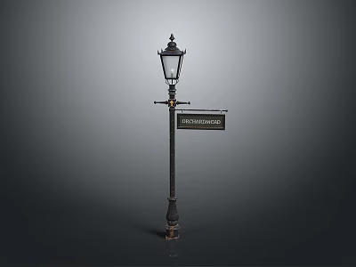 Vintage Street Lamp With Decorative Design And Chester Road Sign 3d model