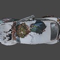 Abandoned Beetle in the Woods 3d model