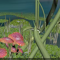 Scenic Natural Wetland Landscape With Pink Spotted Mushrooms And Tall Green Reeds