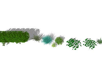 Different Types of Garden Shrubs With Various Green Foliage and Leafy Plants 3d model
