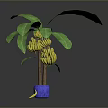Fresh Ripe Banana and Pineapple with Green Leaves in Blue Pot