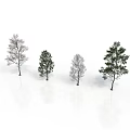 Four Different Shaped Trees With Green Leaves And Bare Branches On White Background With Reflections