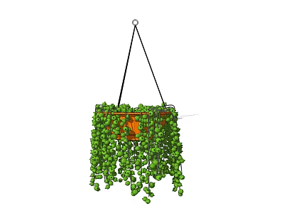 Orange Pot Metal Frame Hanging Planter With Trailing Green Plants For Home Decor 3d model