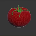 Shiny Red Ripe Tomato Fresh Vegetable with Green Leafy Stem 3d model