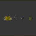 Diverse Ornamental Plants with Yellow Foliage Green Ferns Blue and Purple Blossoms