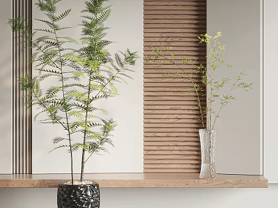 Bonsai Potted Plant With Green Leaves On Wooden Shelf And Wooden Louver Background 3d model