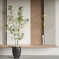 Bonsai Potted Plant With Green Leaves On Wooden Shelf And Wooden Louver Background