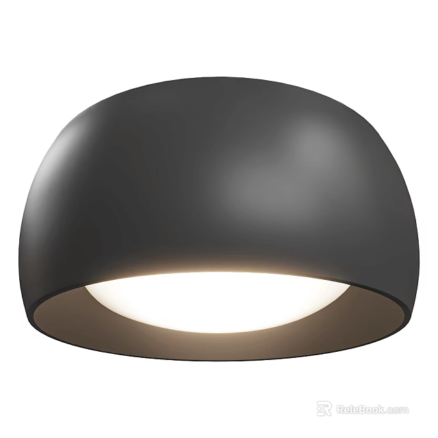 Modern Black Downlight Spotlight Ceiling Lighting Fixture With Smooth Surface And Bright Glow 3d model