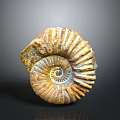 Aquatic Ammonite Fossil With Spiral Shell Yellow Brown Stripes And Textured Surface