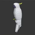 Detailed White Cockatoo Character With Yellow Crest Standing Gracefully On Black Surface