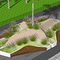 Modern Tree Pit Landscape With Palm Tree Grasses And Wooden Borders On Paved Ground