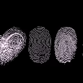 Stylish Fingerprint Pendant Unique Charm Collection Arranged On Dark Background