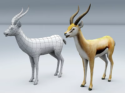 3D Antelope Wireframe And Rendered Models Display In Studio Setup 3d model