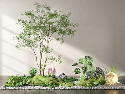 Lush Indoor Plant Combination With Trees Ferns And Decorative Stones 3d model