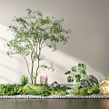 Lush Indoor Plant Combination With Trees Ferns And Decorative Stones