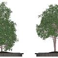 Circular Brick Tree Planter With Green Leafy Trees For Outdoor Landscaping