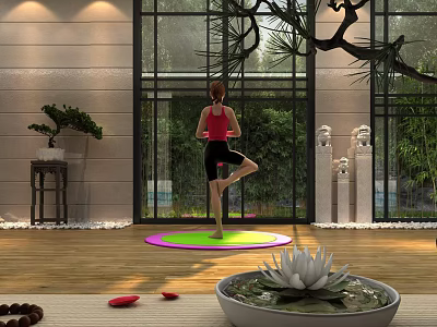 Bonsai Plant Decorative Indoor Ornament With Natural Light And Zen Ambiance 3d model
