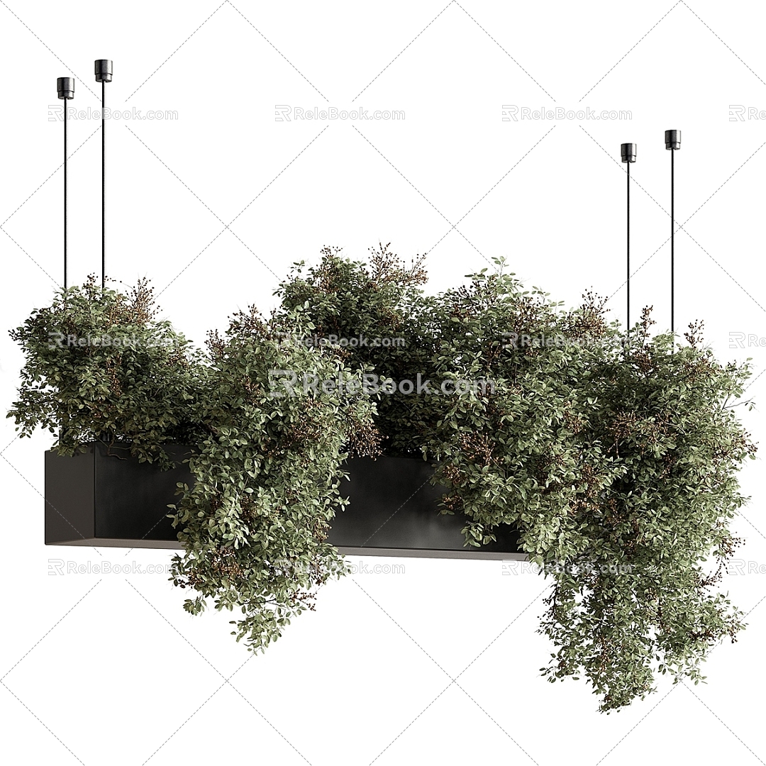 Modern Bonsai Bonsai Bonsai ampelous Plant Stand Shelf Grass 3d model