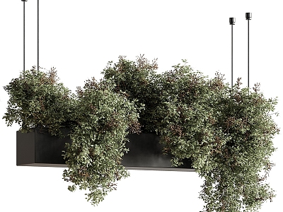 Modern Bonsai ampelous Plant Stand Shelf Grass 3d model