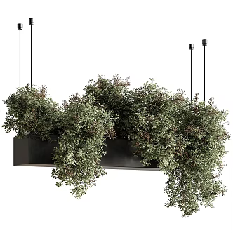 Modern Bonsai ampelous Plant Stand Shelf Grass 3d model
