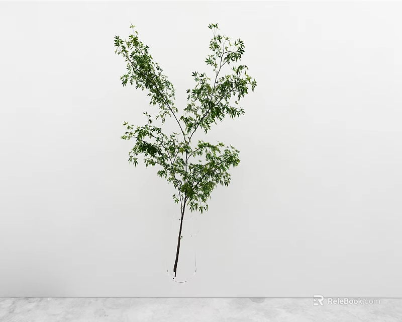 Green Leafy Plant Standing Alone With Lush Green Foliage Against White Wall And Gray Floor 3d model 