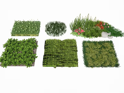 Diverse Green Ground Cover Plants With Various Textures For Garden Landscaping 3d model