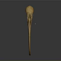 Bird Skull Skeleton With Long Curved Beak And Detailed Bone Structure