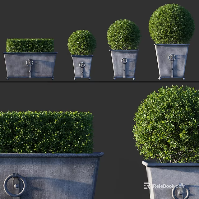 Ornamental Bonsai Potted Plants in Rectangular Metal Planters with Round Green Foliage 3d model 