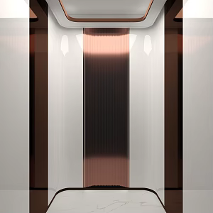 Light Luxury Elevator Car 3d model