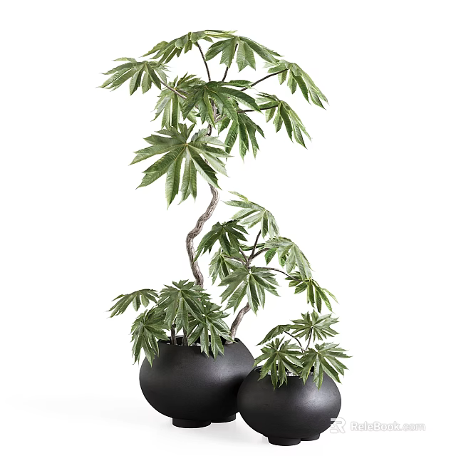 Large And Small Black Vases Featuring Green Plants With Lush Leaves And Branches 3d model 