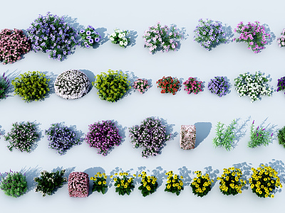 Modern flowers and plants model