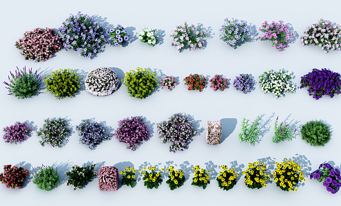 Modern flowers and plants 3d model