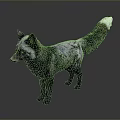 Striking Black and Gray Fox with White Tipped Tail Standing on Gray Background