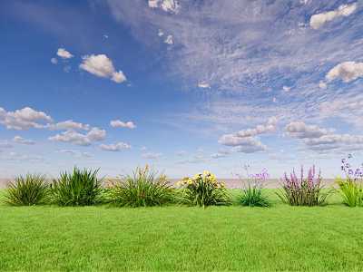 Green Grass With Various Ground Cover Plants And Flowers Under Blue Sky With White Clouds 3d model