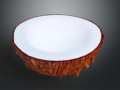 Handmade Natural Coconut Bowl With White Interior And Brown Shell Texture 3d model