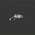 Realistic White Dinosaur Skeleton Structure On Gray Background With Reflection 3d model