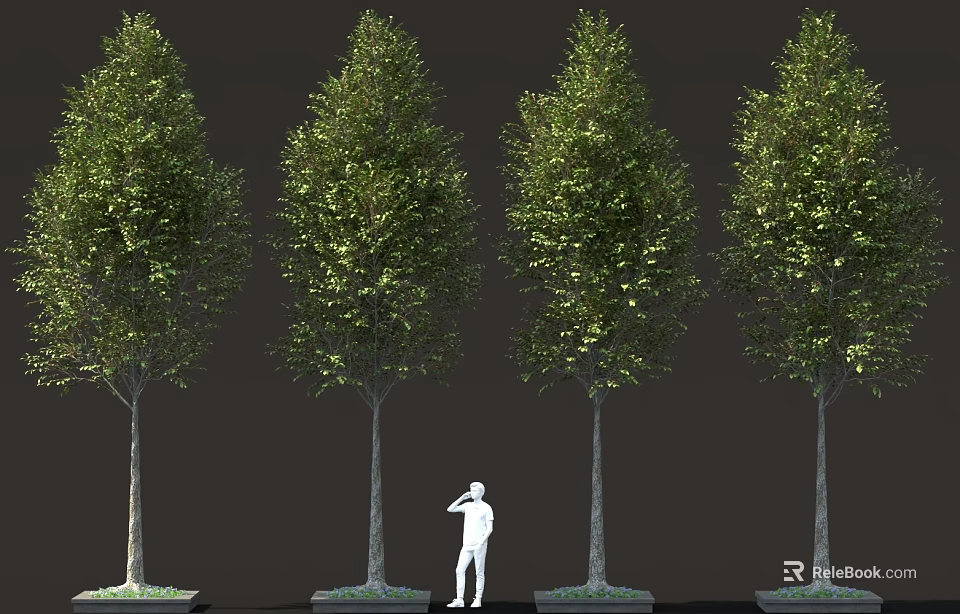 Four Tall Green Trees With a Person Standing And Dark Background 3d model 