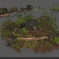 Natural Outdoor Scene With Rocks Ferns Logs Mossy Ground And Green Plants