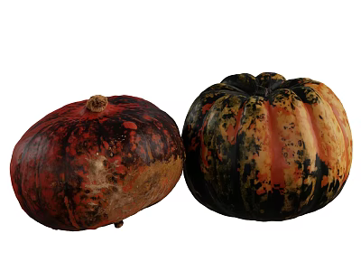Fresh Vibrant Pumpkins with Red Black Orange Speckled and Striped Patterns 3d model