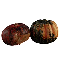Fresh Vibrant Pumpkins with Red Black Orange Speckled and Striped Patterns