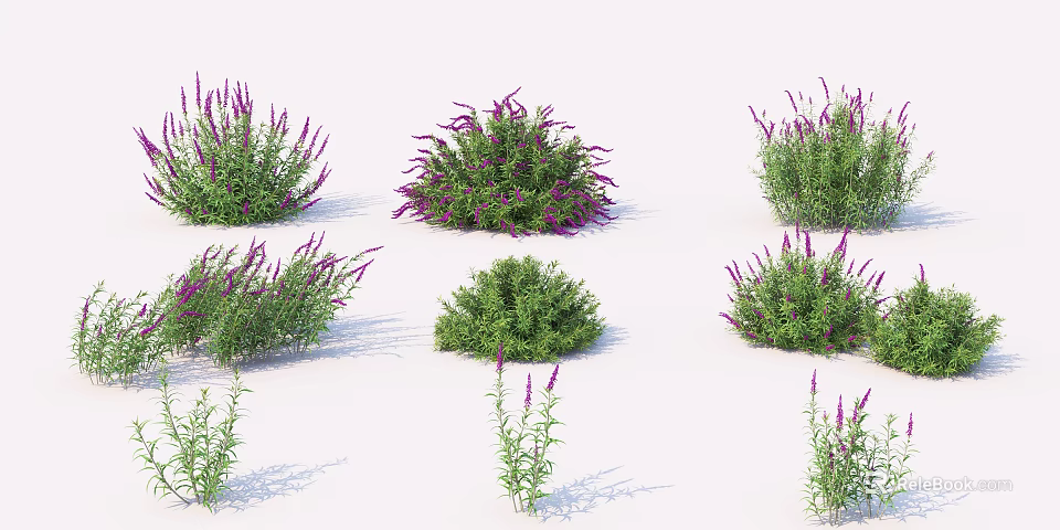 Garden Bushes With Purple Flowers And Green Foliage In Various Sizes 3d model 