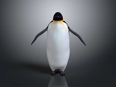 Emperor Penguin Standing With Black Head Yellow Neck White Body On Gray Background 3d model