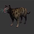 Detailed 3D Model of Tabby Cat in Standing Pose on Gray Background