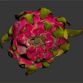 Vibrant Pink Dragon Fruit With Fresh Flesh And Green Leafy Tips On Dark Background